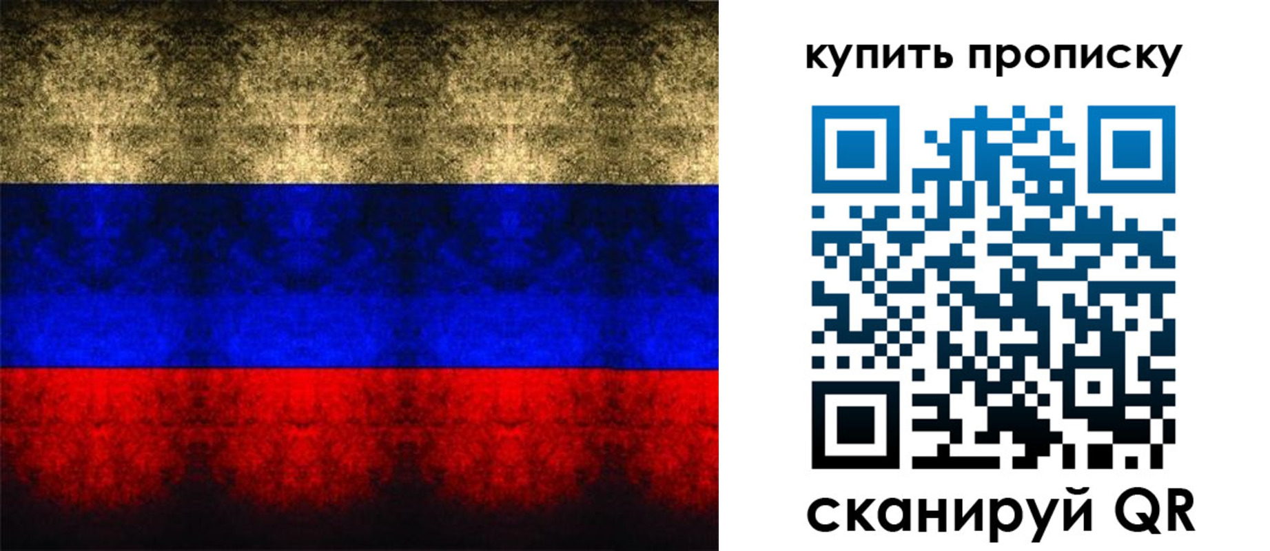 прописка в Вязниках
